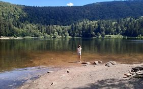 L'écrin des Vosges